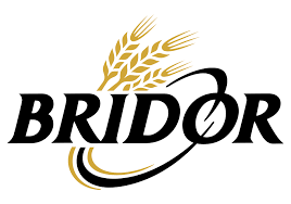 Logo Bridor