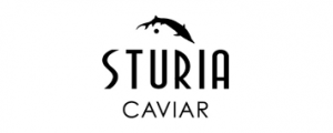 Logo Sturia